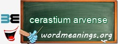 WordMeaning blackboard for cerastium arvense